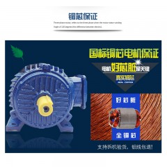 三拓60KTYZ減速同步電機(jī)
