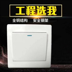 工程墻壁開關(guān)、安全出口、應(yīng)急照明
