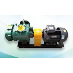 直聯(lián)羅茨鼓風(fēng)機(jī)
