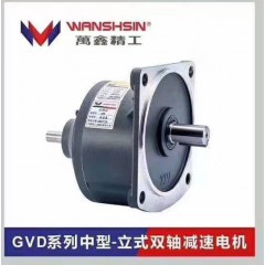 GVD系列中型-立式雙軸減速電機(jī)